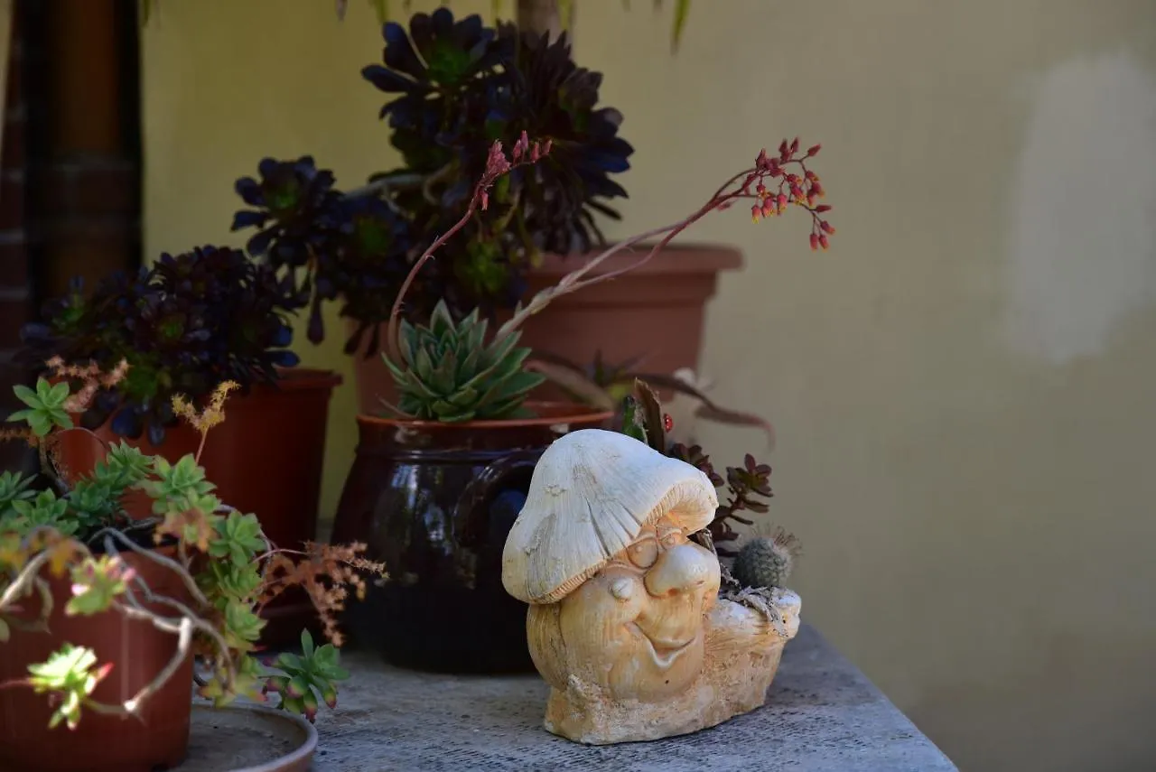 Casa Nina Bed & Breakfast Toirano
