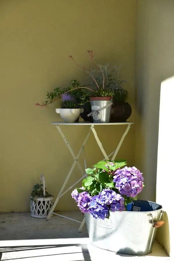 Casa Nina Bed & Breakfast Toirano Italy